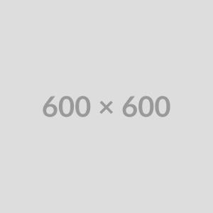 MacSafe 80W (Digital)